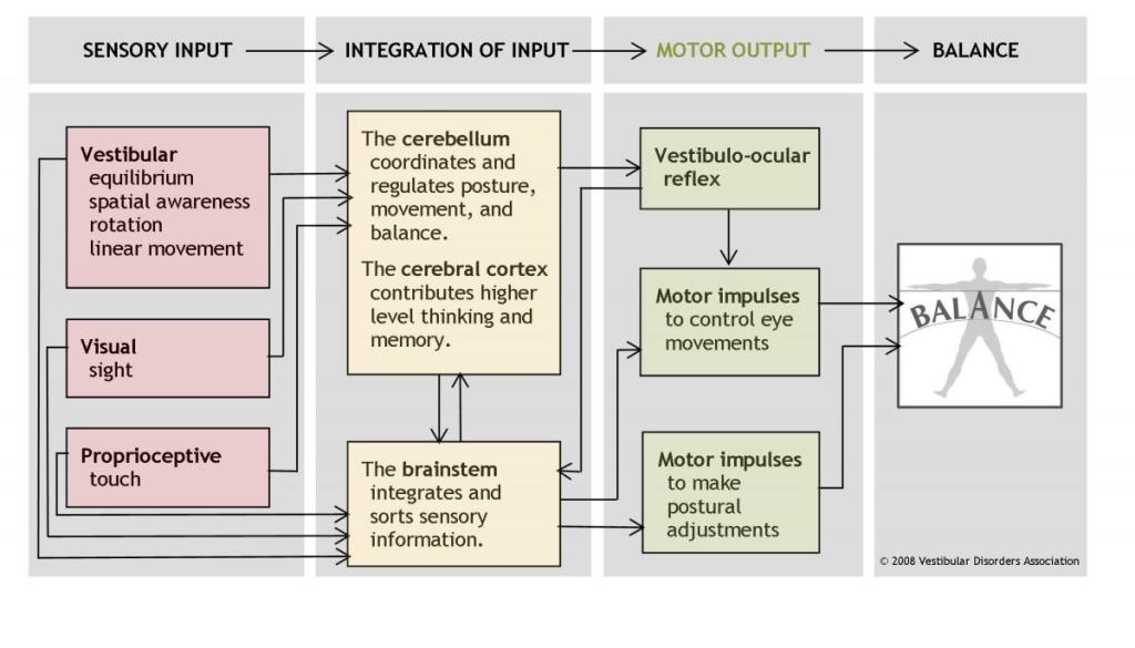 Balance-motor-output_0