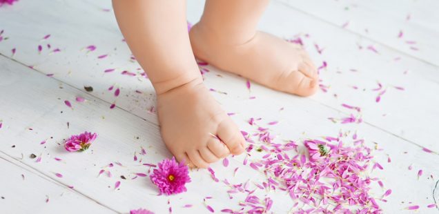 Close up of the charming small legs doing the first steps