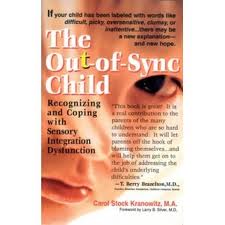 Out of Sync Book