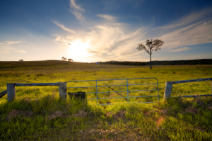 farmland