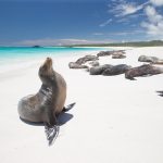 The Galapagos!